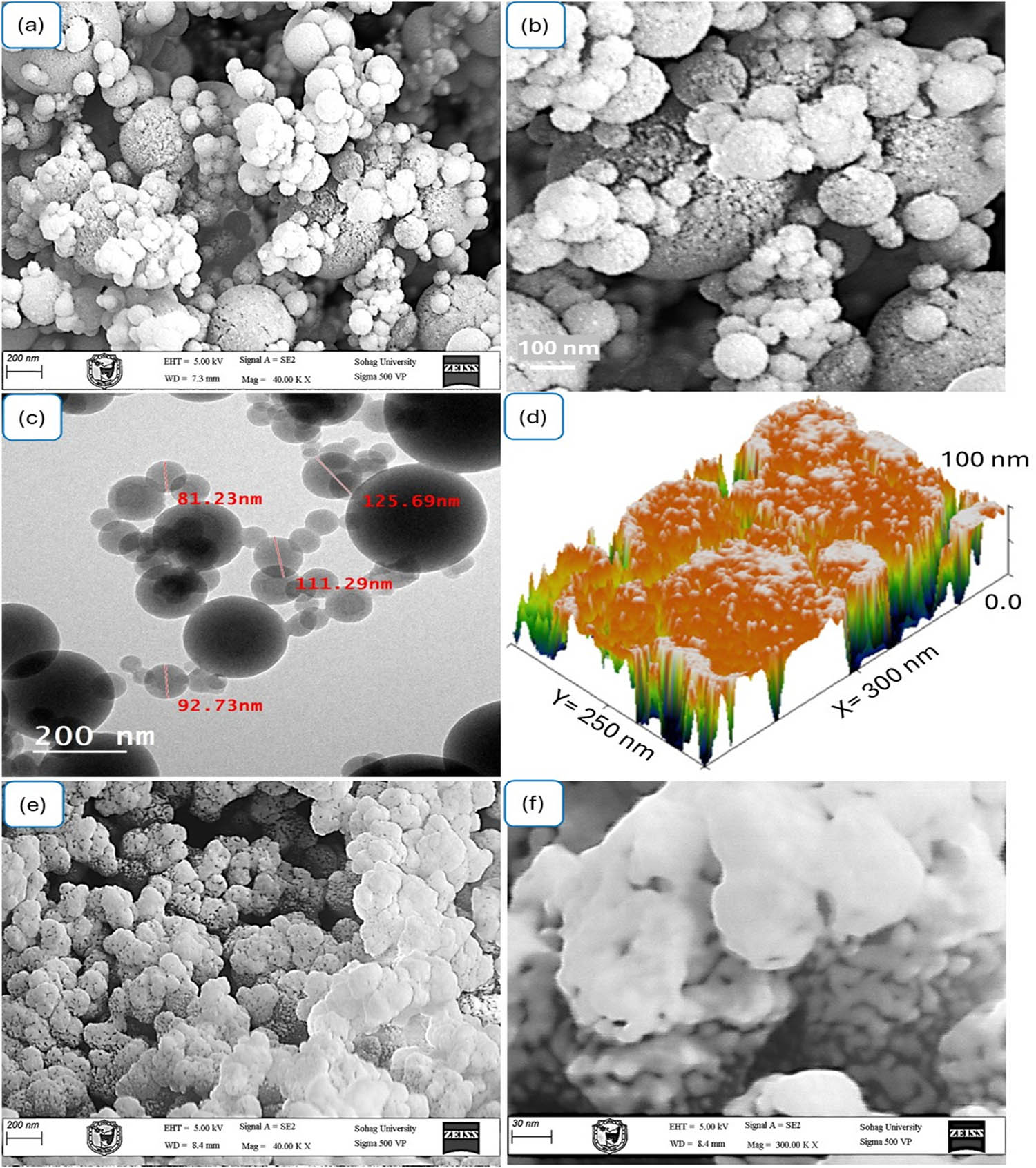 Figure 4 
                  Morphological characterization of As(iii)OI/I-PNMP composite and pure PNMP: (a) and (b) SEM images of the As(iii)OI/I-PNMP composite at different magnifications, (c) TEM image illustrating a uniform spherical morphology of the composite; (d) 3D surface topography and cross-sectional profile of the composite; and (e) and (f) SEM images of pure PNMP at different magnifications.
               