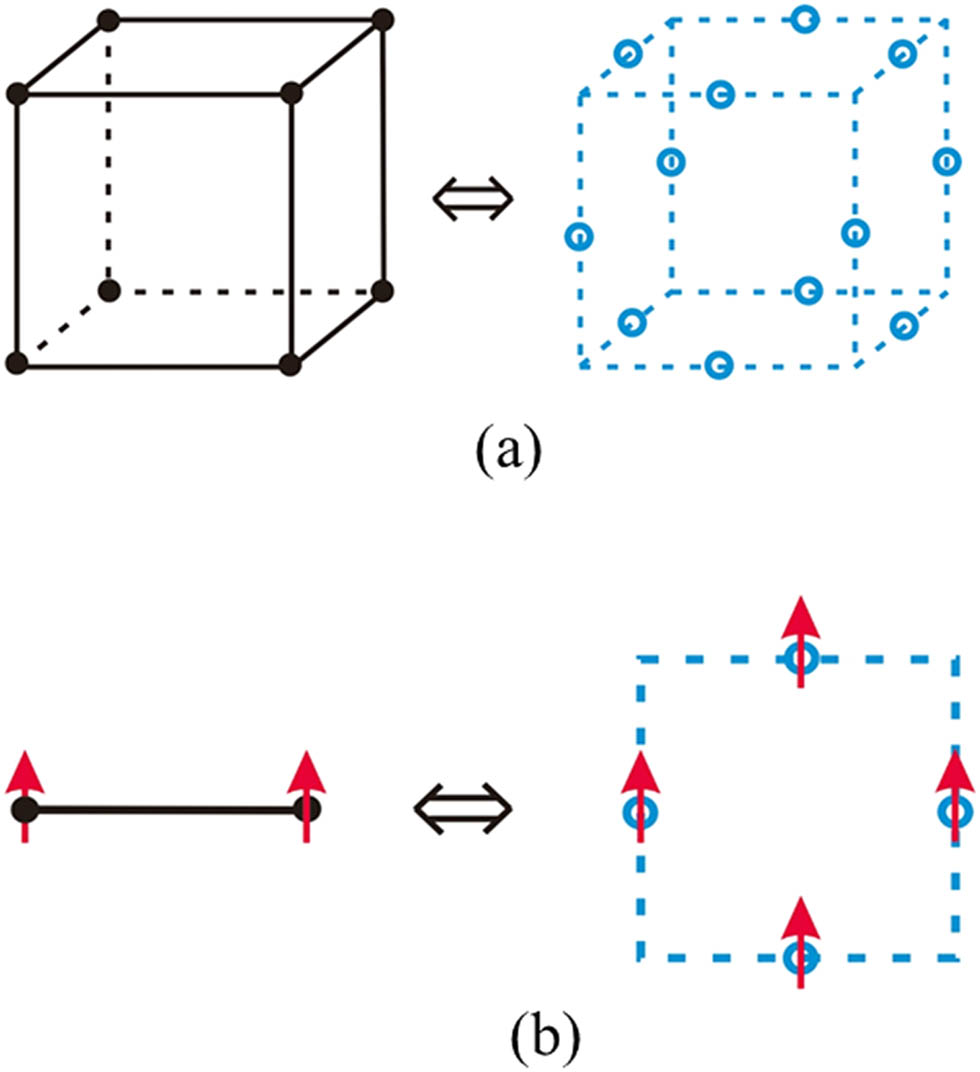 Figure 4 
               (a) Mapping between the 3D Ising lattice and the 3D lattice of the Z2 gauge theory. (b) Mapping between a two-spin interaction for a link in the 3D Ising model and a four-spin interaction for a plaquette in the 3D Z2 lattice gauge model.
            