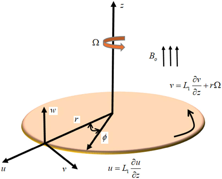 Figure 1 
               Flow geometry.
            