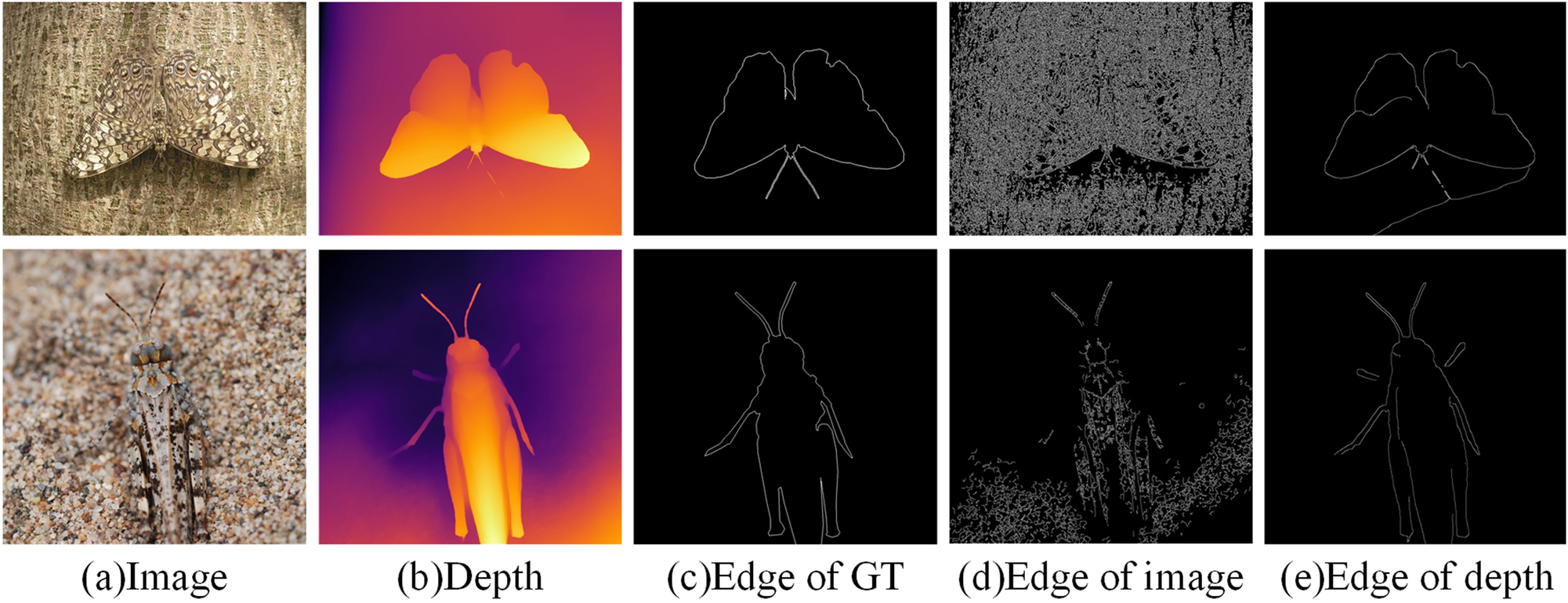 Figure 4: 
Comparative example of edge extraction results.
