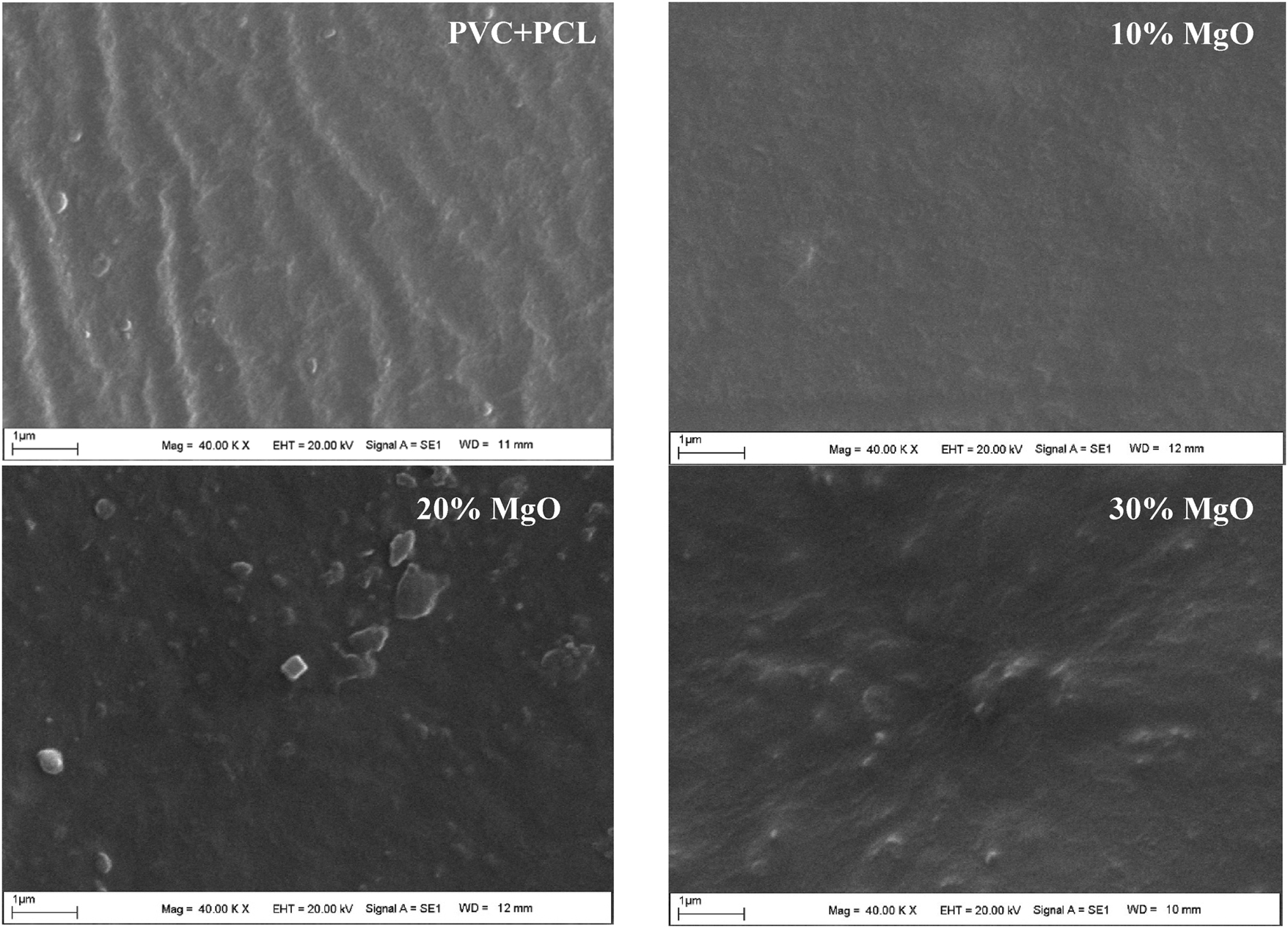 Figure 4: 
SEM image of blend and 10 %, 20 %, 30 %MgO blend composites.
