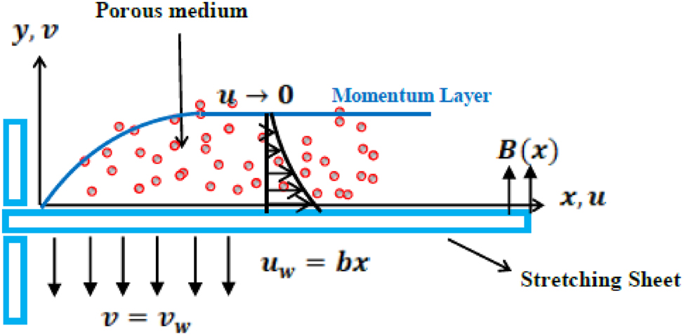 Figure 1: 
Geometrical model and coordinate system of the FF.
