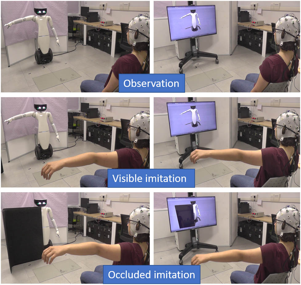 Figure 3
The experimental scenarios during observation, visible imitation, and occluded imitation (respectively, first, second, and third rows) for the physical robot and virtual robot (first and second columns, respectively).