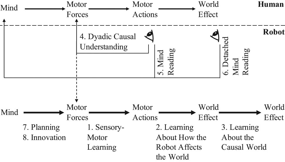 Figure 2 
                  The functions of the eight categories of robot causal cognition. Categories 1–3 refer to learning of causal relations (bold arrows). Categories 4–6 refer to inference of causes (thin solid arrows) related to an interacting human, while categories 7–8 refer to how the robot decides how to act.
               