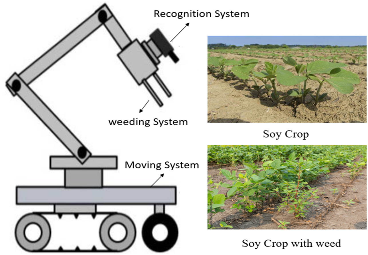 Figure 1
IoT-Fog computing-enabled robotic system for the classification of weeds and soy plants.