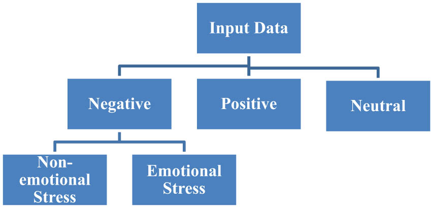 Figure 1 
               ECG stress classification.
            