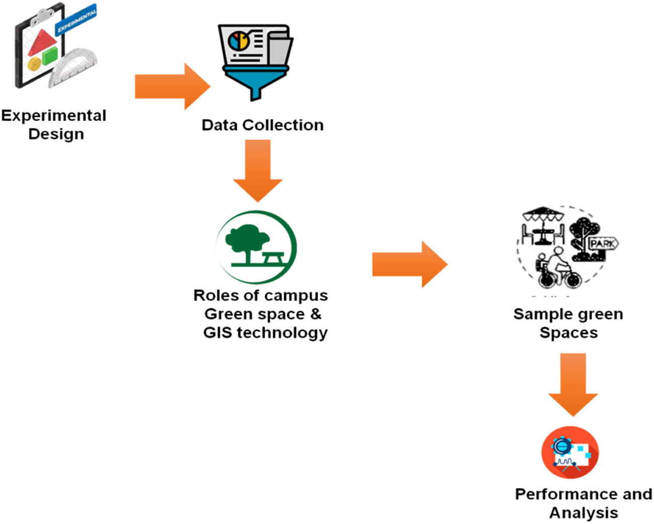 Figure 4
Experimental design.