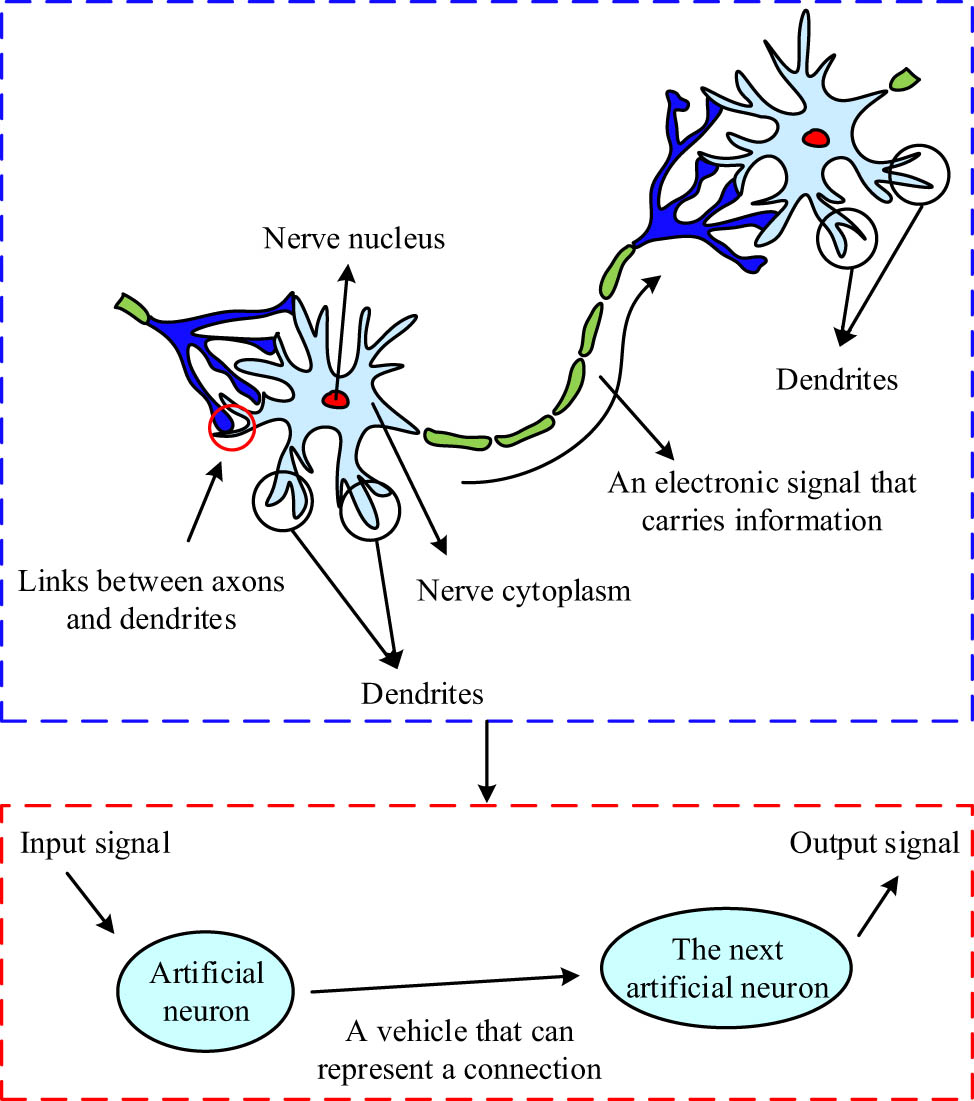 Figure 4
Working principle of the ALDNM.