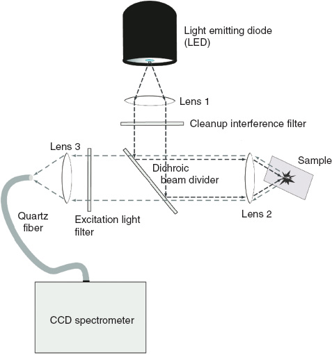 Figure 2 Schematic of the optical set-up of the sensor.