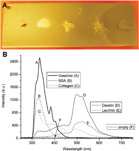 Figure 6 (A) Substrate of sanded V2A-steel with pure (undissolved) contaminations (left to right: lecithin, dextrin, collagen, BSA, Vaseline® – picture taken after 3 days; no grease spot was present while measuring). (B) Spectra of pure substances in high concentration with integration times of 5 s except for BSA and Vaseline® which was 500 ms each.