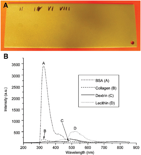 Figure 7 (A) Substrate from sanded V2A-steel with contaminations dissolved in water 10 g/l → 1 μl → 10 μg/13 mm2 → concentration 70 μg/cm2 (left to right: BSA, collagen, dextrin, lecithin). (B) Spectra of the contaminations each with integration times of 5 s.