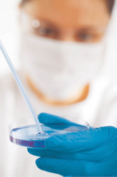  Researcher using a Petri dish (© Petr Kratochvil @ PublicDomainPictures.net).