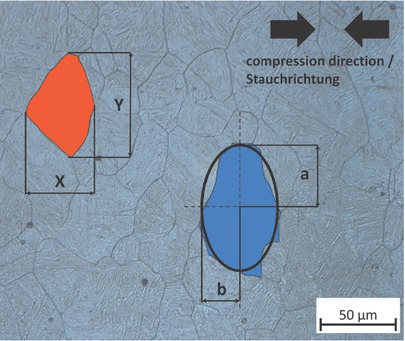 Figure 3 LOM image of an etched section of a compressed sample after a Ta = 1250 °C and tinter = 10 s. The red and blue grains are to illustrate the grain parameters Y, X, a, and b.Bild 3 LIMI-Aufnahme eines geätzten Schliffs einer gestauchten Probe nach einer Ta = 1250 °C und tinter = 10 s. Das rote und blaue Korn dienen zur Veranschaulichung der Kornparameter Y, X, a und b.