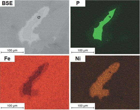 Bild 4 REM-EDX Elementverteilung von Schreibersit eingebettet in Kamacit, nach der Glühung.
Figure 4: SEM-EDS element distribution of schreibersite embedded in kamacite after annealing.
