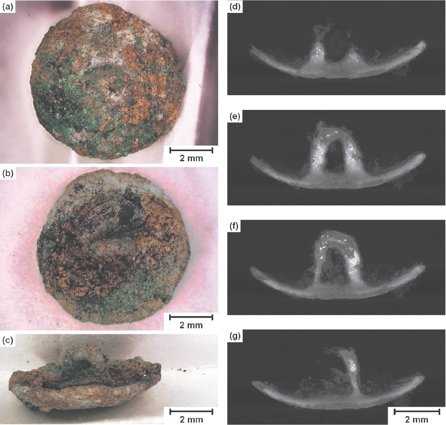 Figure 1a to g Button from a Schandorf tumulus: (a, b, c) Various different perspectives in the 3D-DM, (d–g) μm CT slices of the area of the shank.
Bild 1a bis g: Knopf aus einem Hügelgrab in Schandorf: (a, b, c) verschiedene Blickrichtungen im 3D-DM, (d–g) μm-CT Schnitte im Bereich der Öse.
