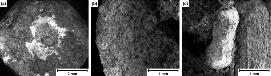 Figure 2a to c Surface in the SEM/BSE: (a) Button sheet metal outside, (b) button sheet metal inside, (c) shank.
Bild 2a bis c: Oberfläche im REM-RE: (a) Knopfblech außen, (b) Knopfblech innen, (c) Öse.
