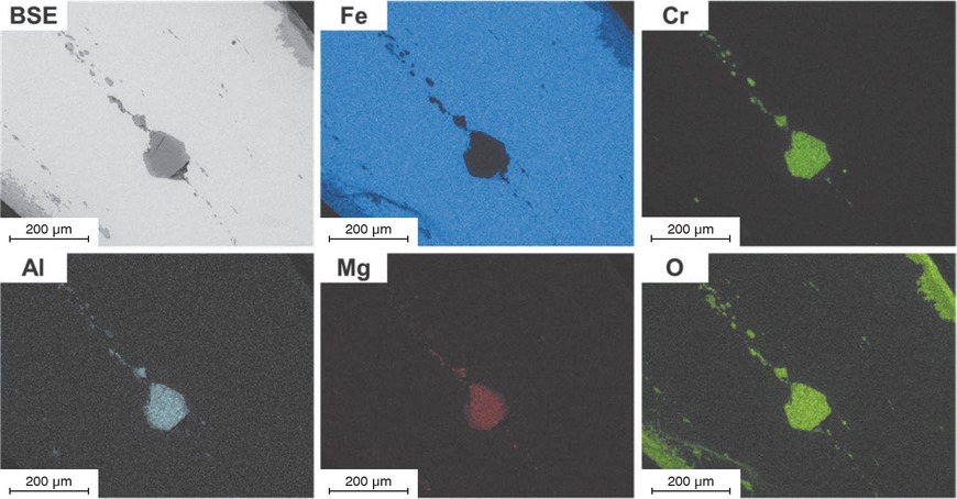 Figure 3 EDS element distribution at the roll-head.Bild 3: EDX-Elementverteilung am Rollenkopf.