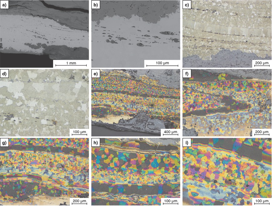 Figure 8a to i Needle shaft. a, b) SEM, c, d) 1 % Nital, LOM, e–i) Klemm I, LOM.Bild 8a bis i: Nadelschaft. a, b) REM, c, d) Nital 1 %, LOM, e–i) Klemm 1, LOM.