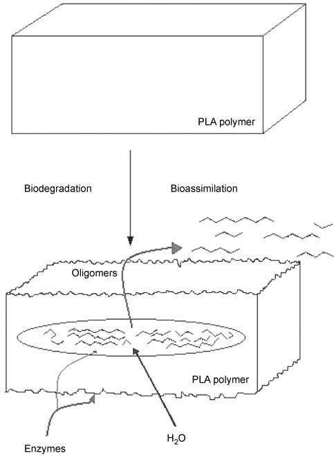 Figure 1 Scheme of erosion process [37].