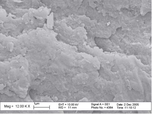 Figure 6 Scanning electron microscope (SEM) photograph of the impact fracture surface of the polyphenylene sulfide/polycarbonate/glass fiber/nanometer calcium carbonate (PPS/PC/GF/nano-CaCO3) ternary composite (φf=6%).