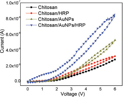 Figure 3 Current-voltage curves for the chitosan, chitosan/AuNPs, chitosan/HRP, and chitosan/AuNPs/HRP films.