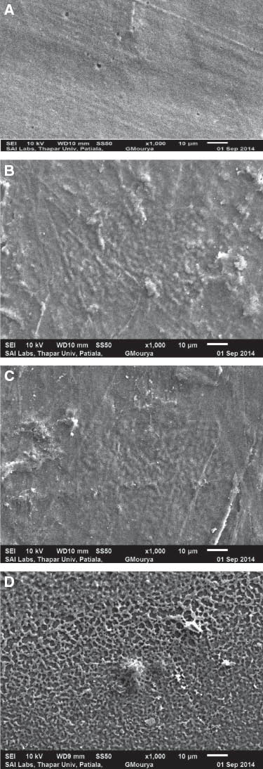 Figure 5 (A) Scanning electron micrograph of PP100 at 1000× magnification. (B) SEM of PP80 at 1000× magnification. (C) SEM of PP80C6 at 1000× magnification. (D) Scanning electron micrograph of PLLA100 at 1000× magnification.