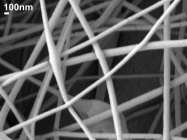 Figure 5: Scanning electron microscopy (SEM) image of neat cellulose acetate nanofibers.