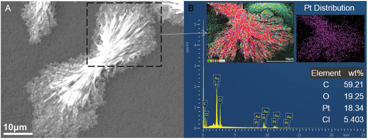 Figure 7: (A) Magnified scanning electron microscopy (SEM) image of the cellulose acetate (CA)-cisplatin straw-sheaf microstructure, (B) corresponding energy dispersive X-ray spectroscopy (EDS) spectrum (scanning area and Pt distribution map shown in inset).