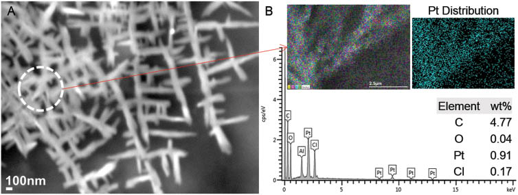 Figure 9: (A) Magnified scanning electron microscopy (SEM) image of sub-branches of cellulose acetate (CA)-cisplatin fibers, (B) corresponding energy dispersive X-ray spectroscopy (EDS) spectrum (scanning area and Pt distribution map shown in inset).