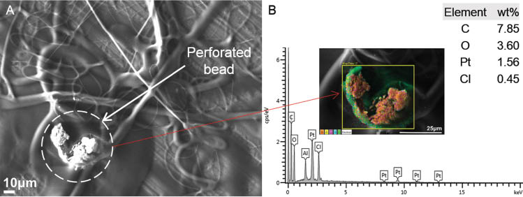 Figure 11: (A) Cisplatin particles dispersed inside a perforated bead of cellulose acetate (CA), (B) corresponding energy dispersive X-ray spectroscopy (EDS) spectrum (scanning area shown in inset).