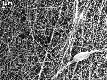Figure 12: Scanning electron microscopy (SEM) image of neat poly(ethylene oxide) (PEO) nanofibers.
