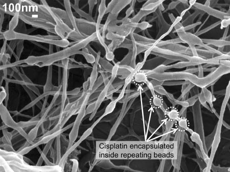 Figure 13: Drug-loaded poly(ethylene oxide) (PEO) nanofibers showing formation of repeating beads containing cisplatin.