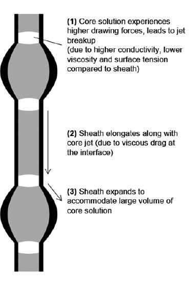 Figure 15: Formation of beaded structures due to jet breakup effects in core solution during coaxial electrospinning.