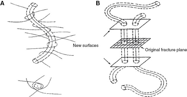 Figure 3: Schematic illustration of the polymer reptation model (A) Reptating entangled chain, (B) chain scission (reprinted with permission from [31]).