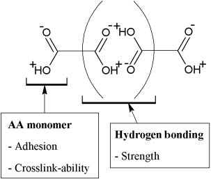 Figure 6: A schematic diagram illustrating the properties of the acrylic acid monomer in the copolymer and its ability to form hydrogen bonds resulting in effective adhesion.