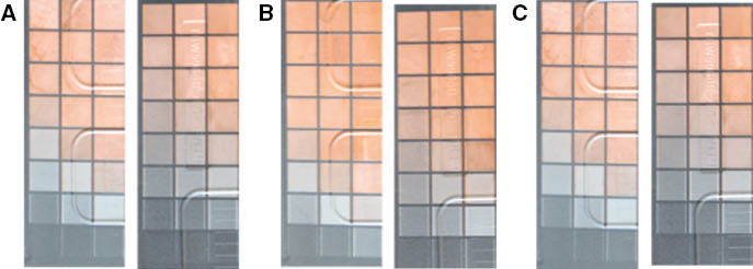 Figure 7: Plating results activated by 14 ns (A), 20 ns (B) and 30 ns (C) laser pulse width.