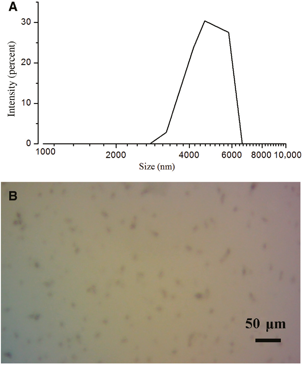 Figure 1: Characteristics of modified fumed silica: laser diffraction particle size distribution curves (A) and optical micrograph (B).
