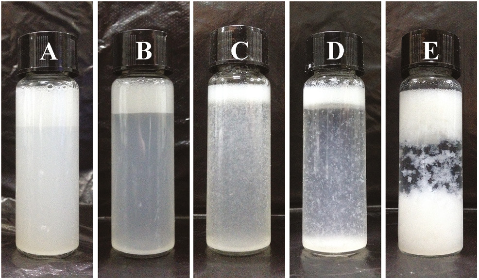 Figure 2: Photographs of Pickering emulsion samples at different times: (A) 0 min, (B) 7 min, (C) 15 min, (D) 20 min, and (E) 25 min of the polymerization stage.The samples were allowed to stand for 2 min at room temperature.
