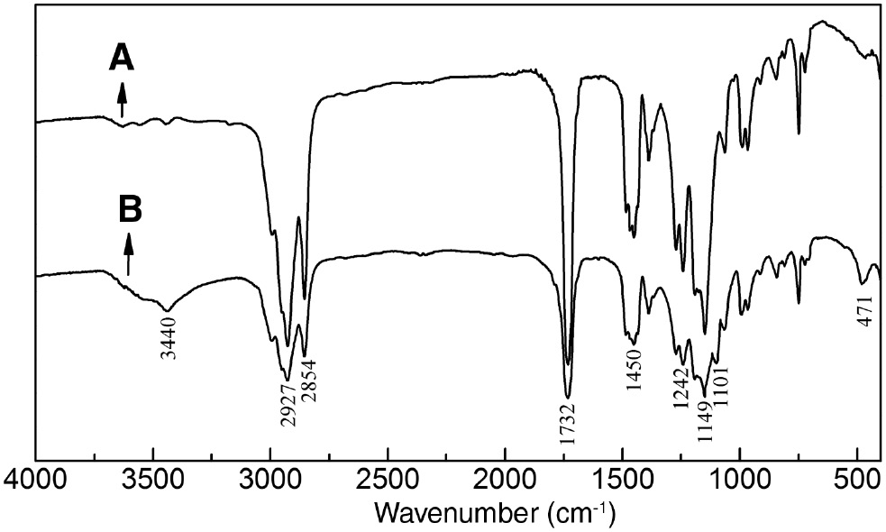 Figure 6: FTIR spectra of polyacrylate (A) and core-shell OAM microspheres (B).