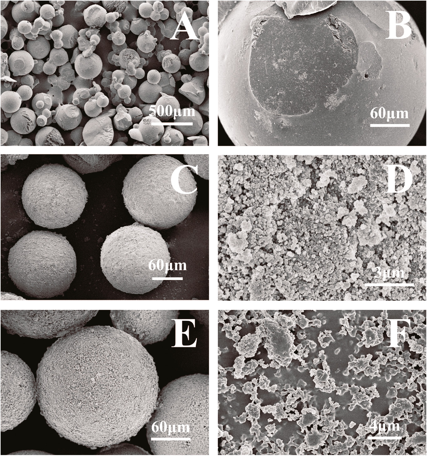 Figure 7: SEM images of polyacrylate microspheres (A and B) and core-shell OAM microspheres before alkali treatment (C and D) and after alkali treatment (E and F).Core-shell OAM microspheres were alkali treated under 75°C.