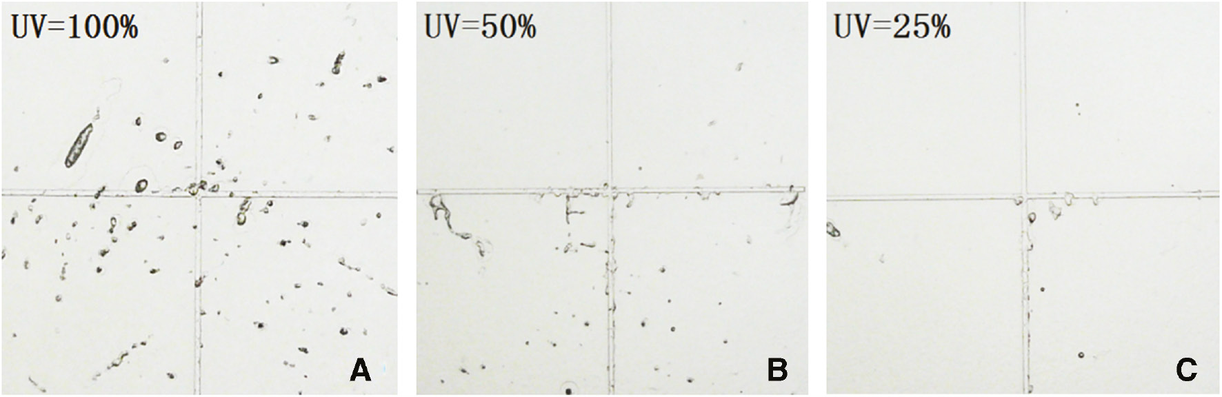 Figure 8: Effect of irradiation intensity on the number of bubbles: (A) the bubble holes around “cross” under 100%, (B) the bubble holes around “cross” under 50%, (C) the bubble holes around “cross” under 25%.