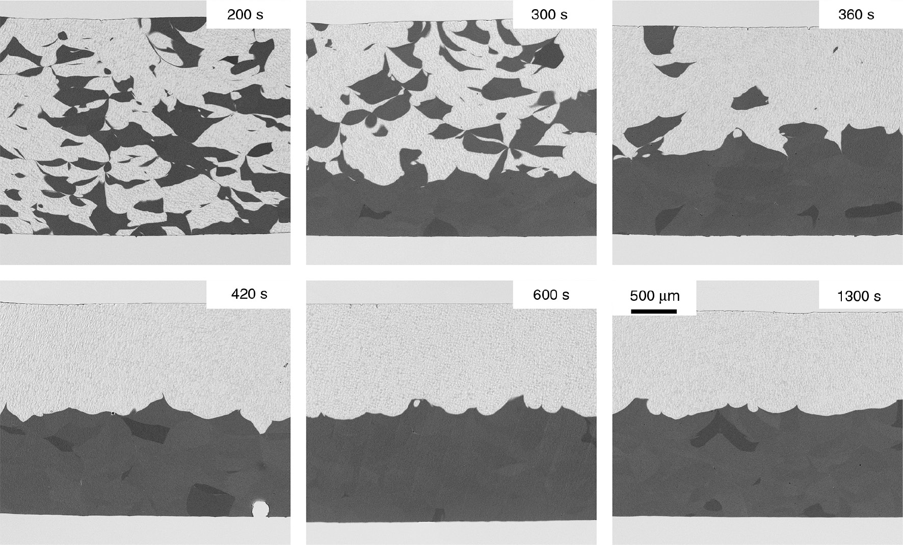 Figure 8: Representative cross sections of multi-layer parts with different adding times for the second component.