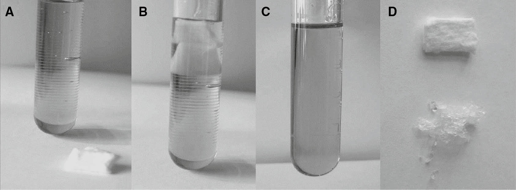 Figure 3: Progress of the dissolution of cellulose (dissolving pulp) in 1-ethyl-3-methylimidazolium acetate (EMIMAc). (A) Solvent and starting material, (B) cellulose added into the solvent, (C) clear solution, (D) the starting material and the regenerated material. Reprinted with permission from Ref. [2]. Copyright (2012) Elsevier.