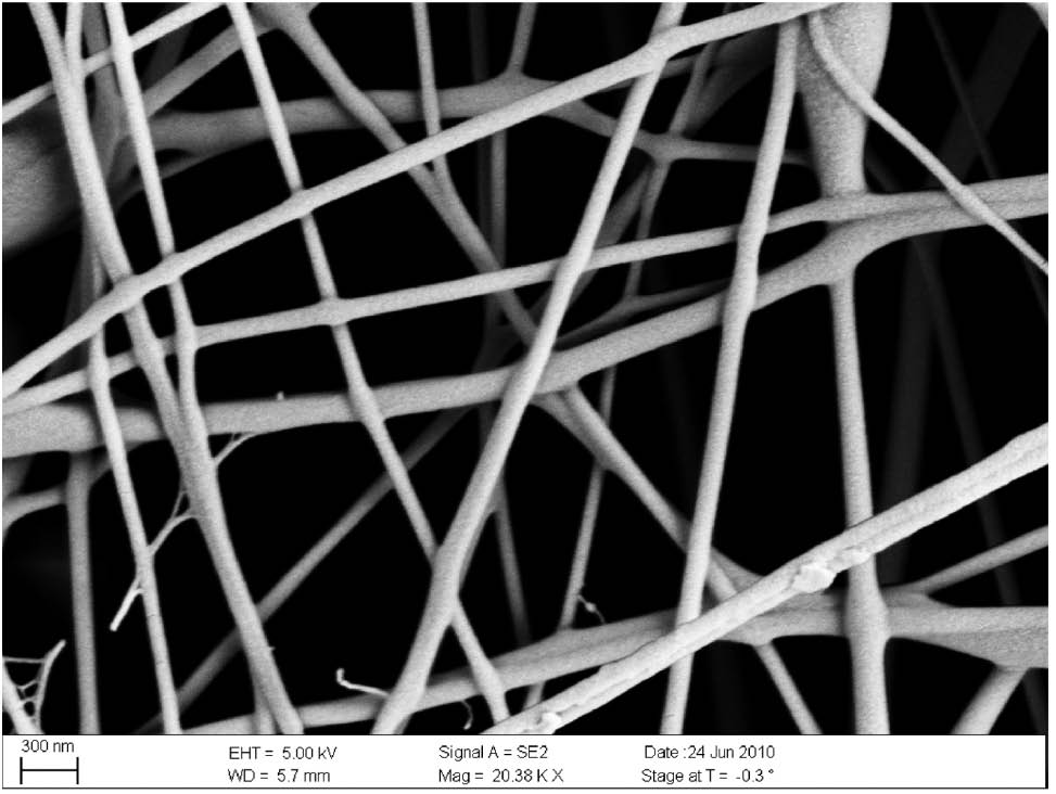 Figure 6: Scanning electron microscope (SEM) images of electrospun fibers. Reproduced with permission from Ref. [95]. Copyright (2013) John Wiley & Sons.
