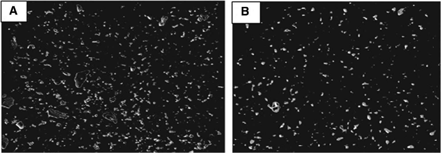 Figure 1: X-ray computed tomography images of jute/PLA composite. The image shows a sample with 5 wt.% fibre such that the PLA matrix is not visible. The cross-section is perpendicular to the flow direction (longitudinal). (A) LFP. (B) SFP [29]. Reproduced with permission from Elsevier.