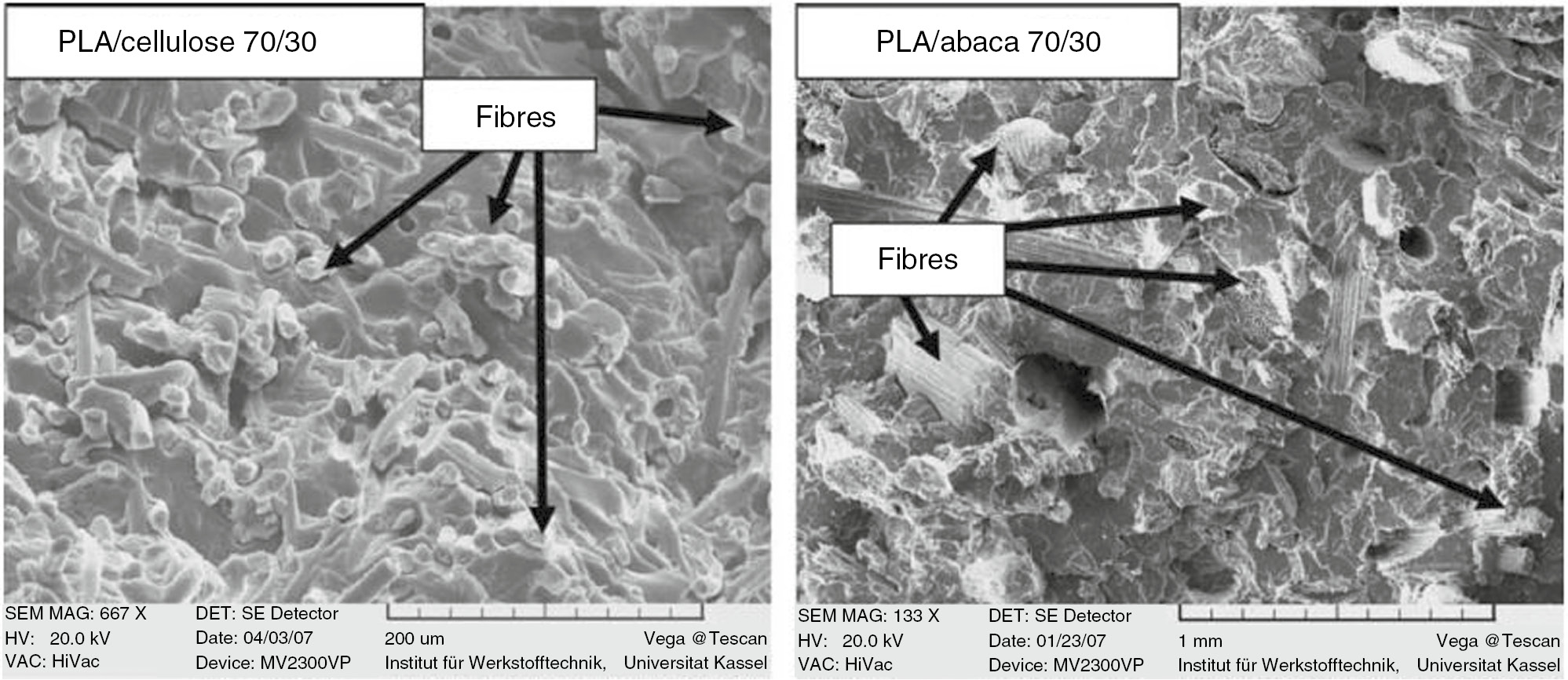 Figure 2: SEM photographs of PLA/cellulose (500×) and PLA/abaca (100×) [9]. Reproduced with permission from Elsevier.