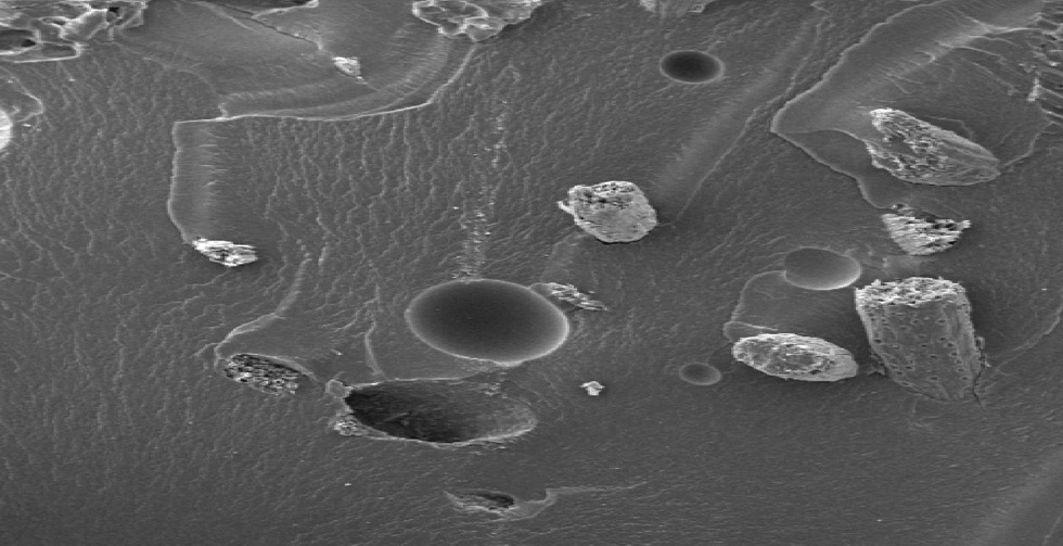 Figure 5: SEM of the fractured surface of composite [47]. Reproduced with permission from Elsevier.