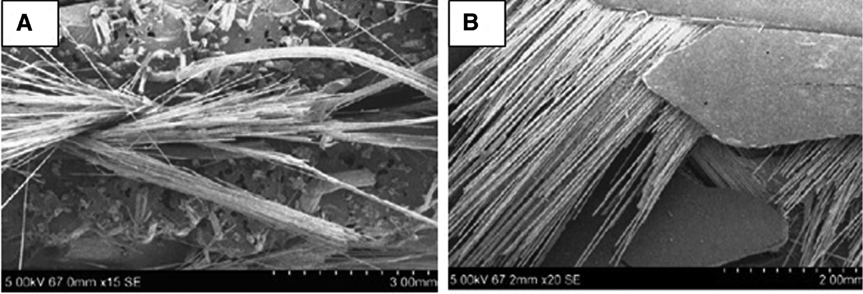 Figure 17: SEM images of sisal/GFRP composites that underwent (A) tensile test and (B) flexural test [37]. Reproduced with permission from Elsevier.