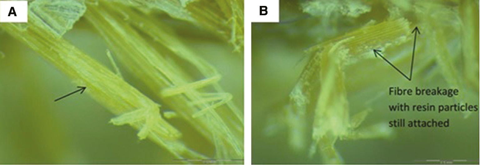 Figure 20: Microscopic observation of bamboo fibres: (A) untreated and (B) treated [55]. Reproduced with the permission from Elsevier.