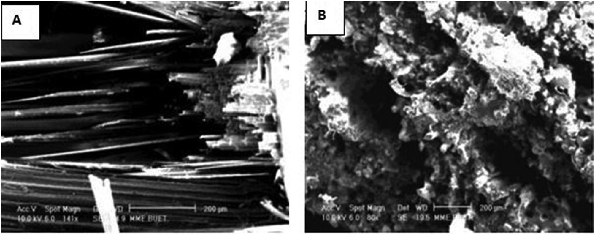 Figure 22: SEM images of the tensile fracture surfaces of unidirectional fibre-reinforced epoxy composites using (A) bamboo and (B) jute [57]. Reproduced with permission from Elsevier.